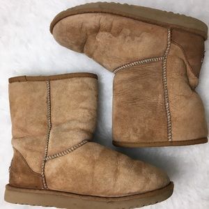 Classic Chestnut Ugg Boots
